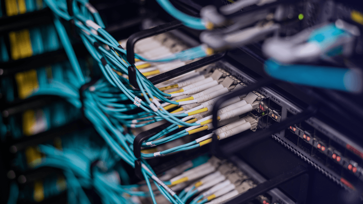 Network Cable ECS Card - Experienced Worker Assessment